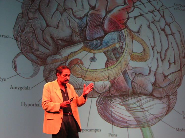 The neurons that shaped civilization – The neurons that shaped civilization