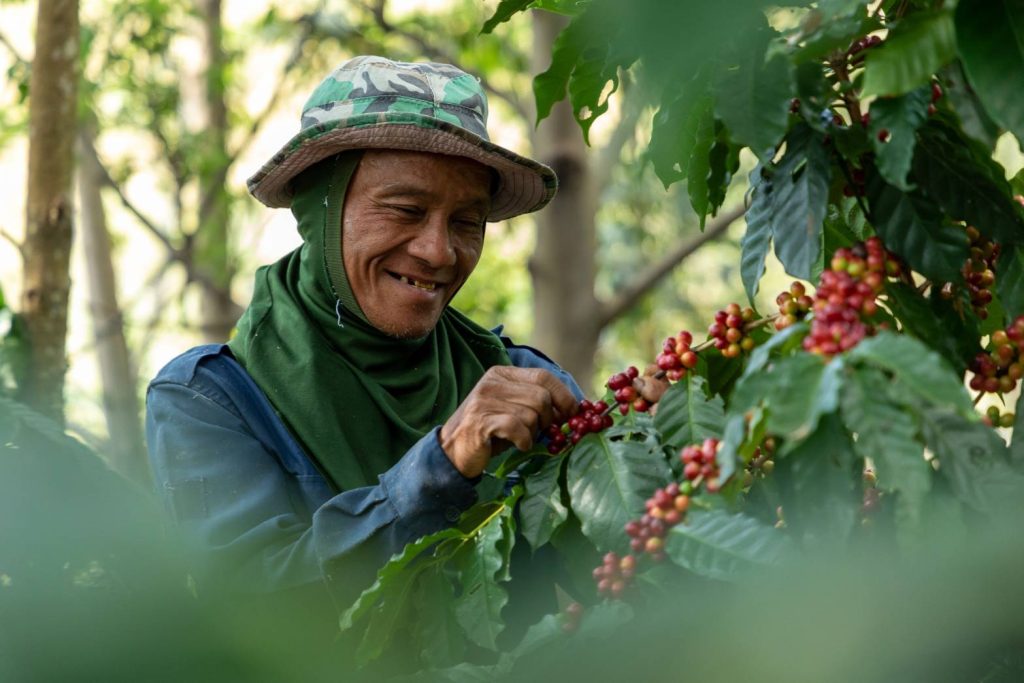 Restoring ecosystems, preserving biodiversity: important trends in today’s world