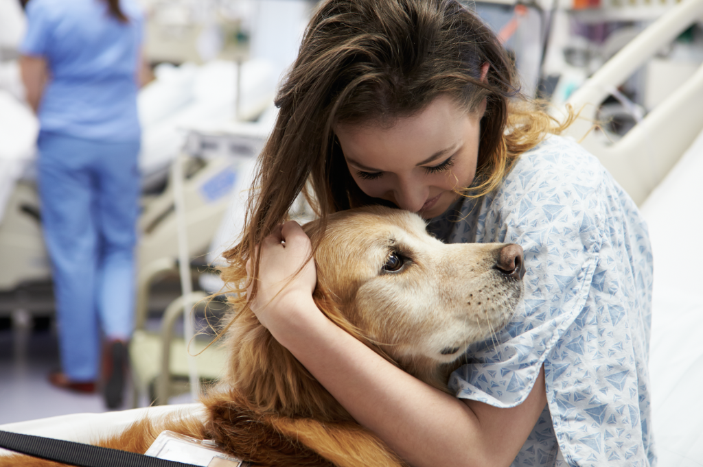 Therapy Dog Thailand – Therapy Dogs of Thailand