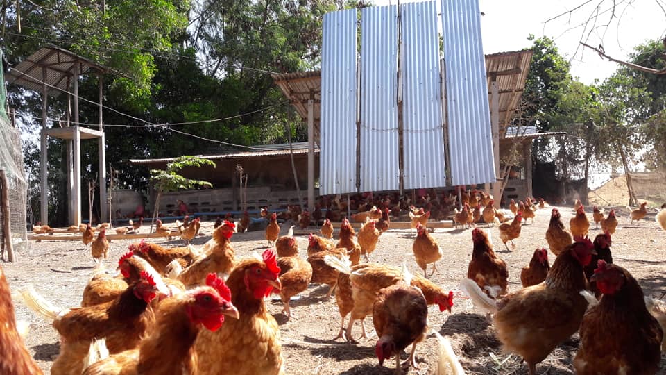 Solve villagers’ problems with villagers’ innovations with Villagers’ Innovation Company Limited.