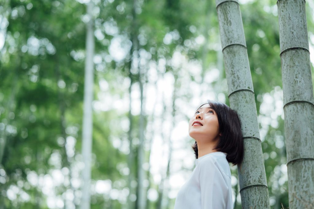 Forest Bathing – Let nature heal our bodies by “forest bathing”