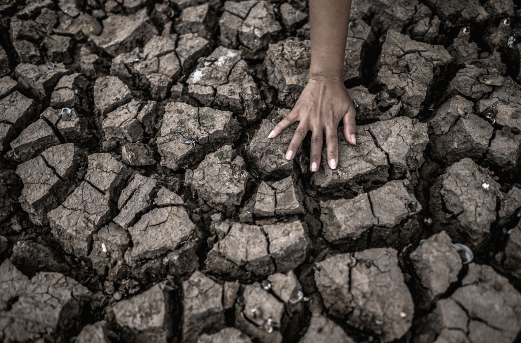 Nkosilathi Nyathi – A Next Generation Solution to the Climate Crisis