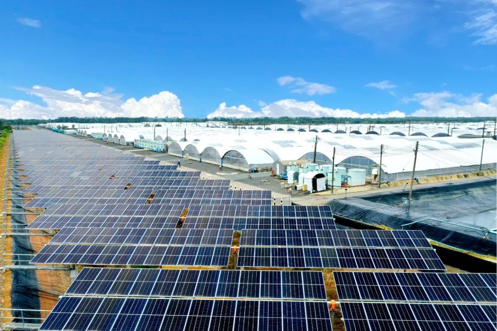 Net Zero Emission: A mission driven by technology and employees